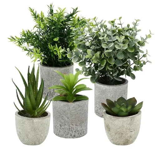 Pack of 5 Artificial Plants