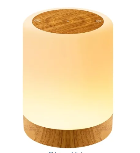 Night Light Bedside Lamp